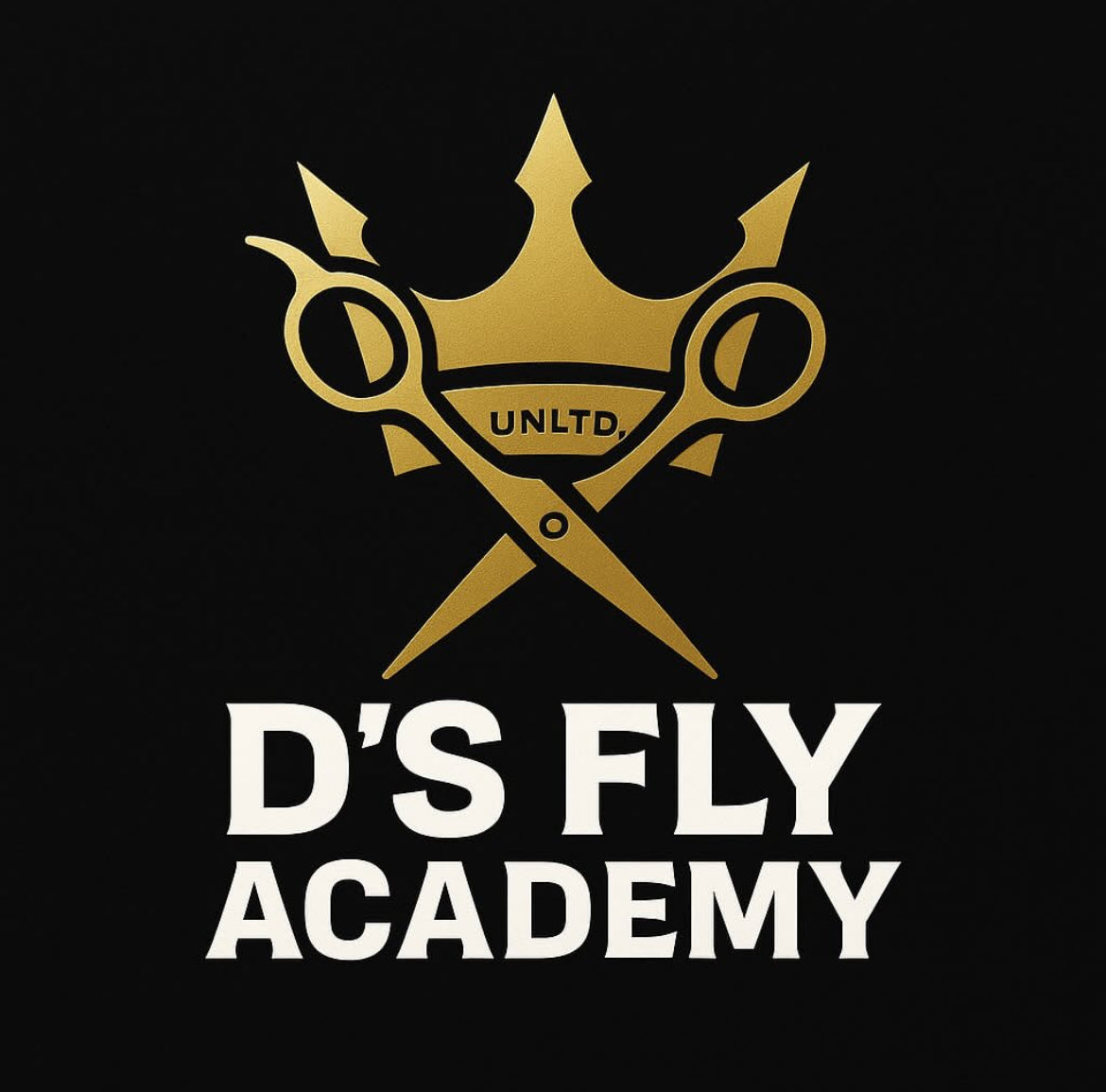 D's Fly Academy